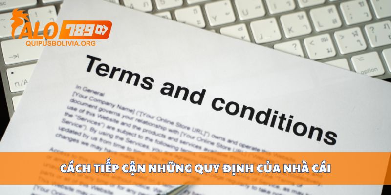 Cách tiếp cận những quy định của nhà cái